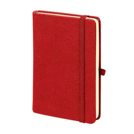 M-701 Aslan Tarihsiz Defter
