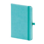 M-701 Aslan Tarihsiz Defter