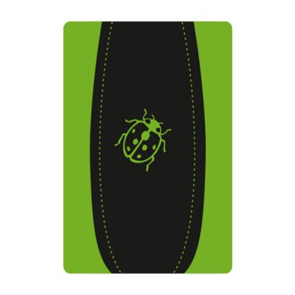 Koton Tarihsiz Defter (13×21)