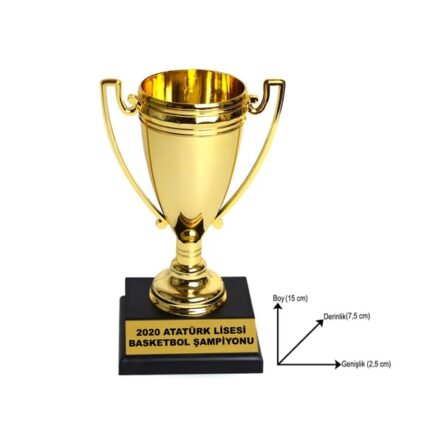 Şampiyon Ödül Kupası - 17cm