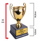 Altın - Gümüş Şampiyon Ödül Kupası - 23cm