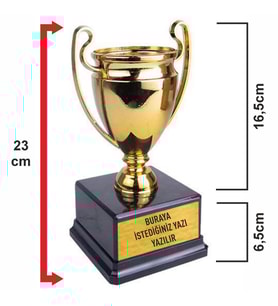 Altın - Gümüş Şampiyon Ödül Kupası - 23cm