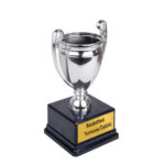 Altın - Gümüş Şampiyon Ödül Kupası - 23cm